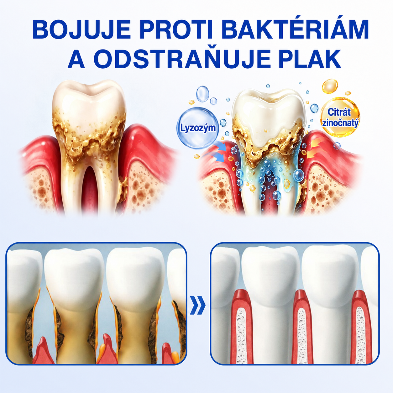 🇸🇰𝑷𝒖𝒓𝒂𝑪𝒖𝒓𝒆® 👨‍⚕️🦷𝑶𝑩𝑵𝑶𝑽𝑨 Ď𝑨𝑺𝑰𝑬𝑵 𝑷𝒂𝒓𝒐𝒅𝒐𝒏𝒕á𝒍𝒏𝒚 𝒐𝒑𝒓𝒂𝒗𝒏ý 𝒈é𝒍🥬